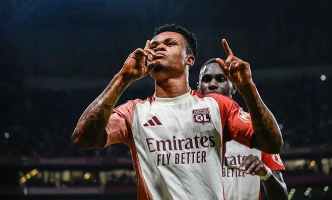 多看样本与 多看样本与